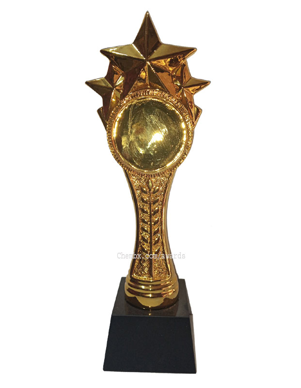 Gold award with polished black base and name engraving